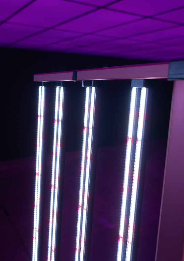 2.png__PID:71d27c51-fefb-4b0b-b3f7-94594616d0f4